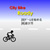 City Bike Roady